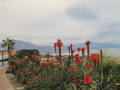 Aldea beach